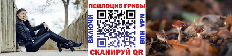 Псилоцибиновые грибы прущие грибы  Купить где  Абаза 